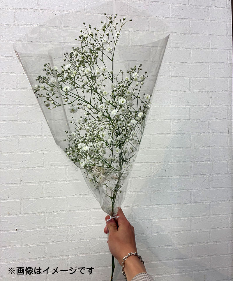 <span>ファミリーバレンタイン<br>
家族で楽しむバレンタインデー</span><br>
カスミ草を飾ったフォトスポットで記念撮影 & 小さなカスミ草の花束1つプレゼント