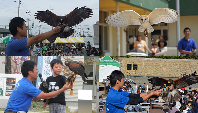 体感ふれあい動物園 ~猛禽フライトショー~