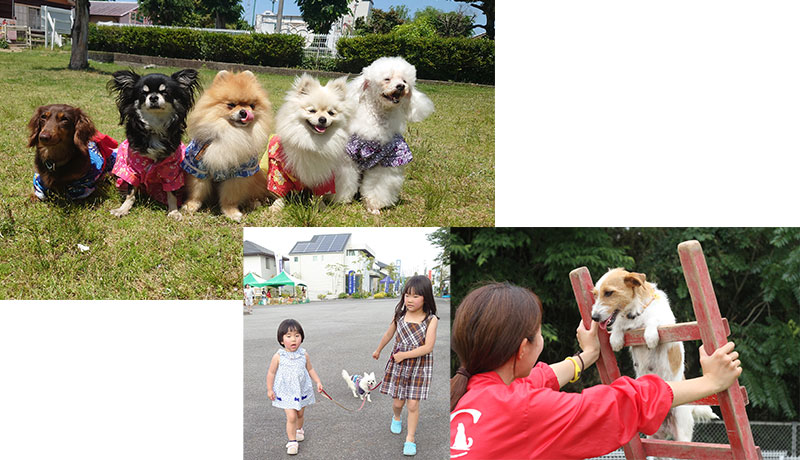 わんわん動物園<br><span>~ふれあい&お散歩~</span>