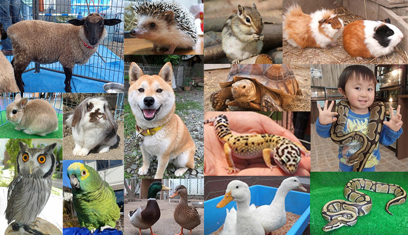 体感ふれあい動物園