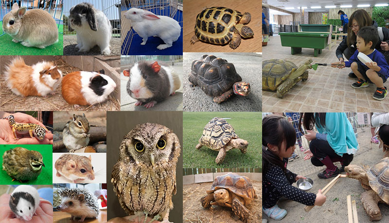 体感ふれあい動物園