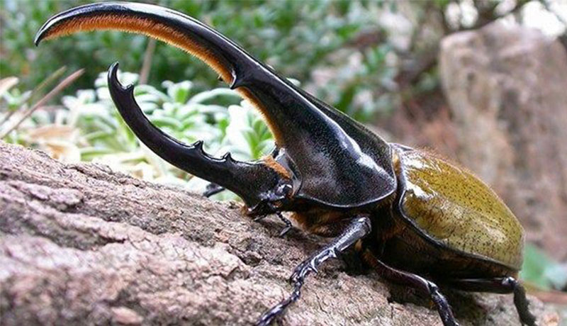 ふれあい&記念撮影会