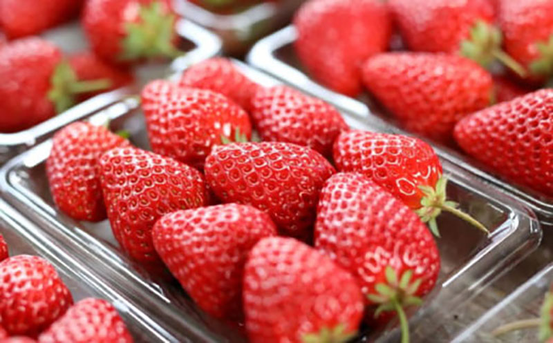 【イチゴがいっぱい イチゴまつり】<br>
イチゴのキッチンカー